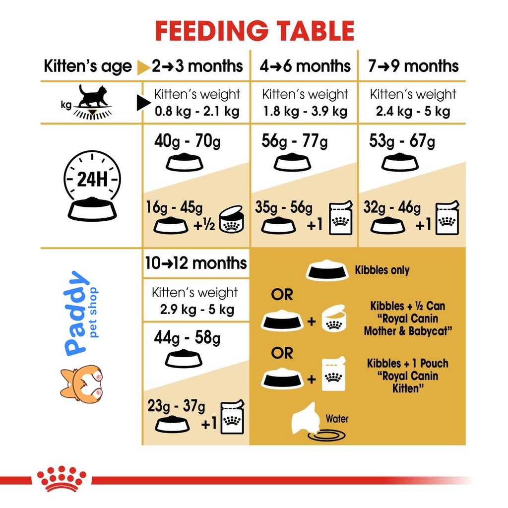 Hạt Cho Mèo Con Anh Lông Ngắn Royal Canin British Shorthair Kitten