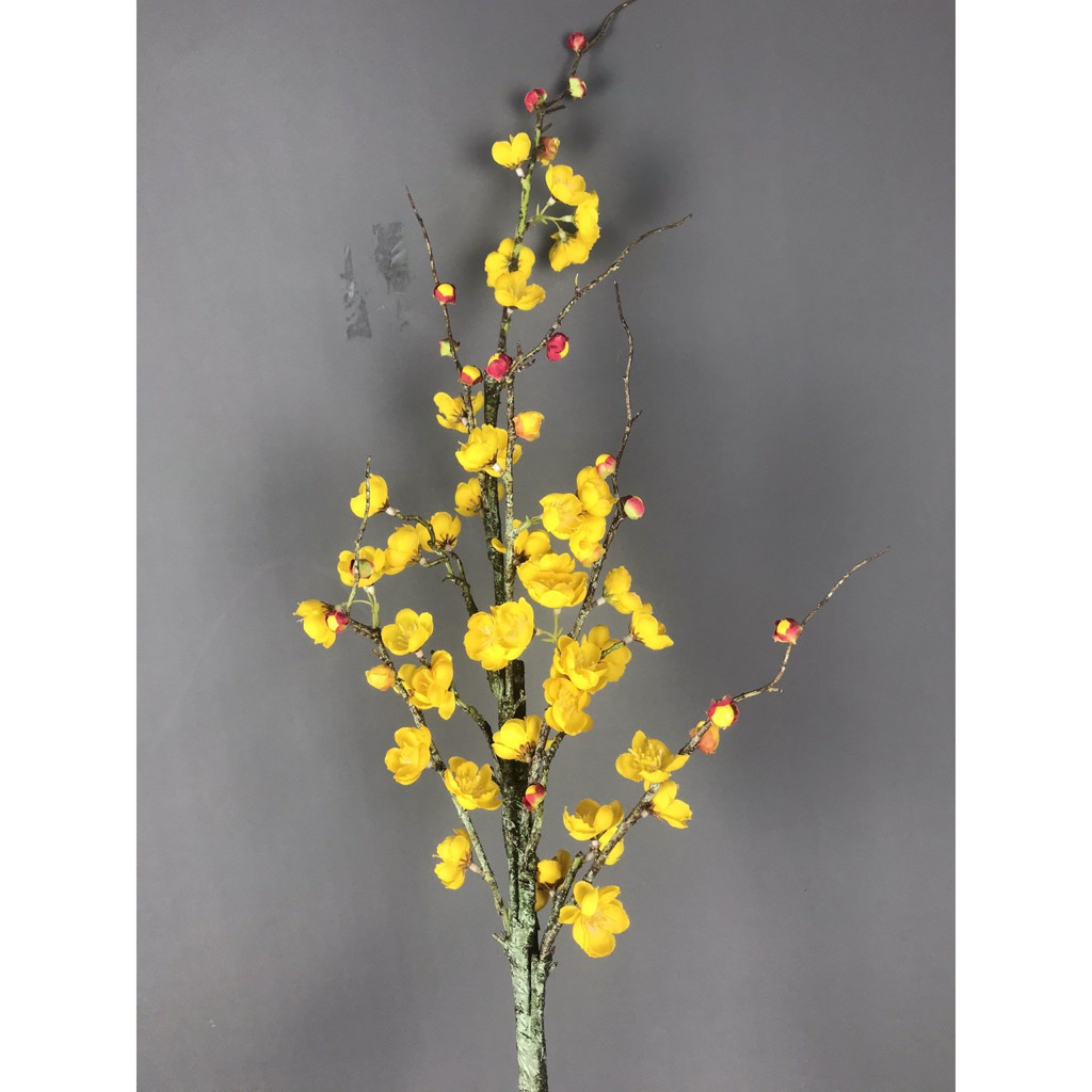 Hoa Mai Mốc Vàng , Hoa trang trí Anthinh Decor