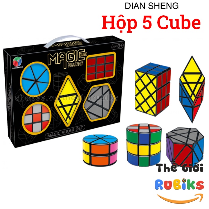 Hộp 5 Rubik Biến Thể DianSheng 2x2 Cylinder + 3x3 Cylinder + Magic Blade + Antiquity + Magic Shield Cube Viền Đen