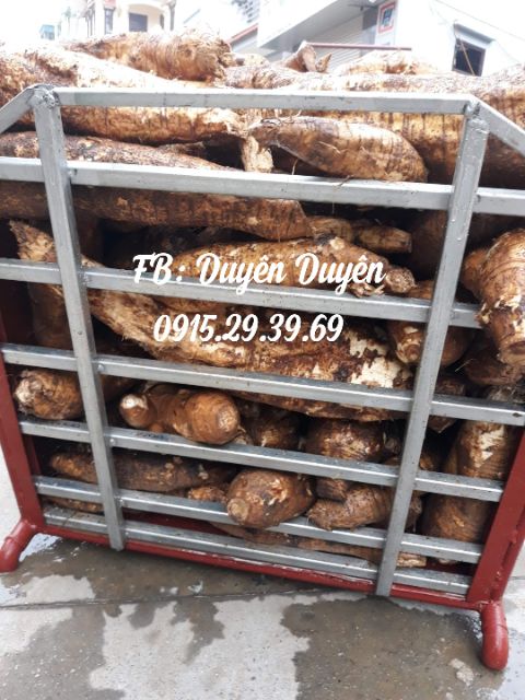 Bột sắn dây gói 1kg ướp hoa bưởi thơm ngon