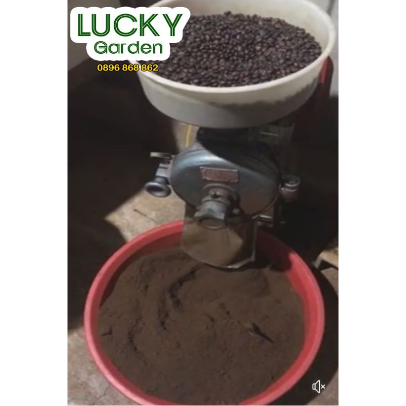 Cà Phê Rang Xay Nguyên Chất Arabica 30% Mix Robusta 70% Buôn Ma Thuột - Túi 500g