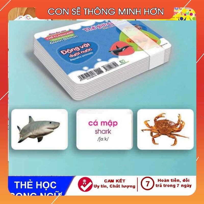 Thẻ học thông minh kèm hình ảnh size to cho bé dạy trẻ đọc sớm nhận biết thế giới xung quanh - SHOP CU BIN