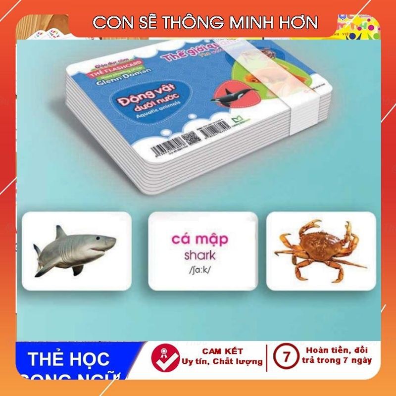 Bộ thẻ học thông minh THẾ GIỚI XUNG QUANH EM  loại to chuẩn Glenn Doman Flashcard