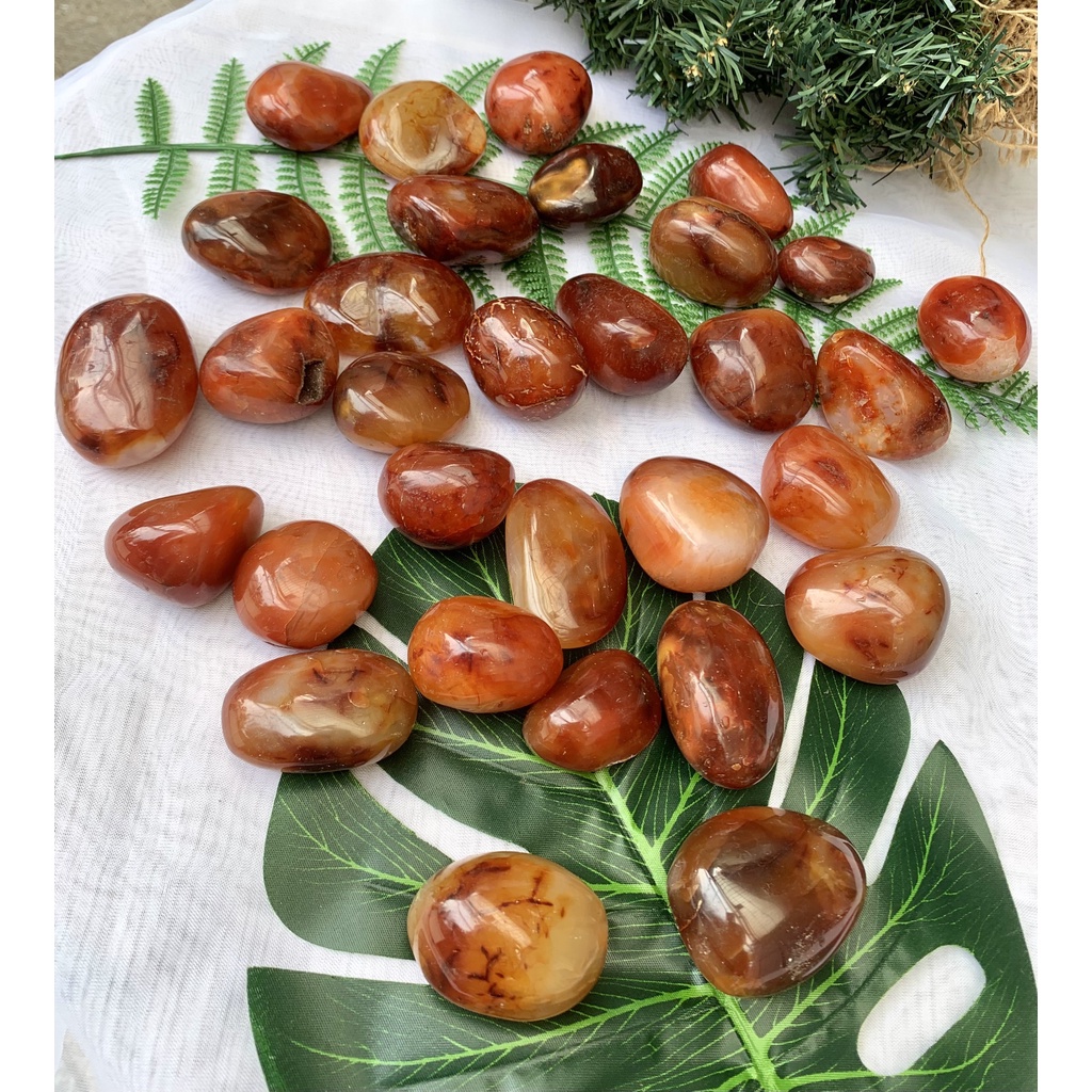 Palm Carnelian | Đá thanh tẩy, tarot, sưu tầm | CADA DECOR