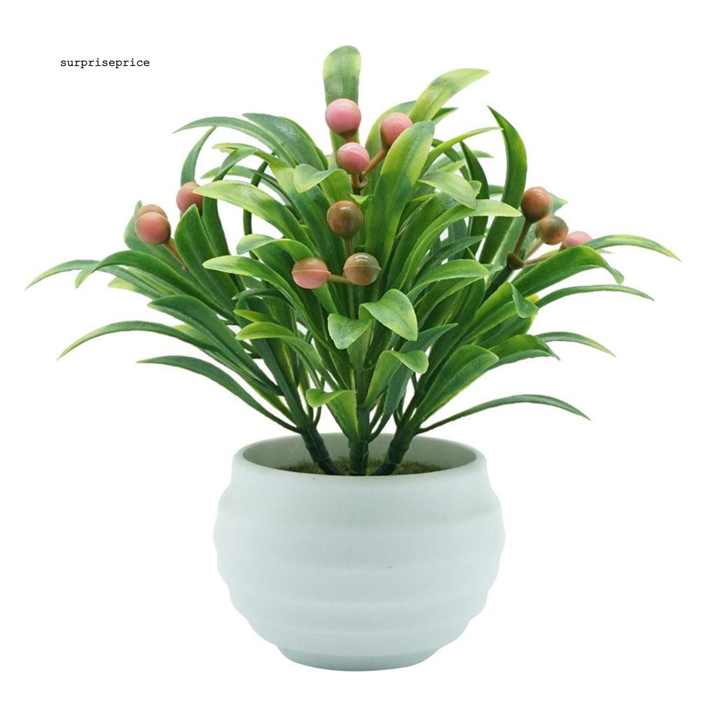 Chậu Cây Bonsai Giả Trang Trí Nội Thất Phòng Khách Sân Vườn