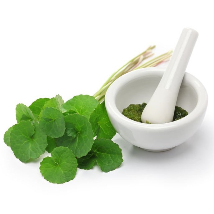 Bột matcha Quảng Thọ, trà rau má, 100% từ lá rau má Organic sấy lạnh giúp đẹp da, thanh nhiệt