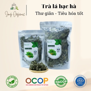 Trà lá Bạc hà - Thư giãn, ngủ ngon