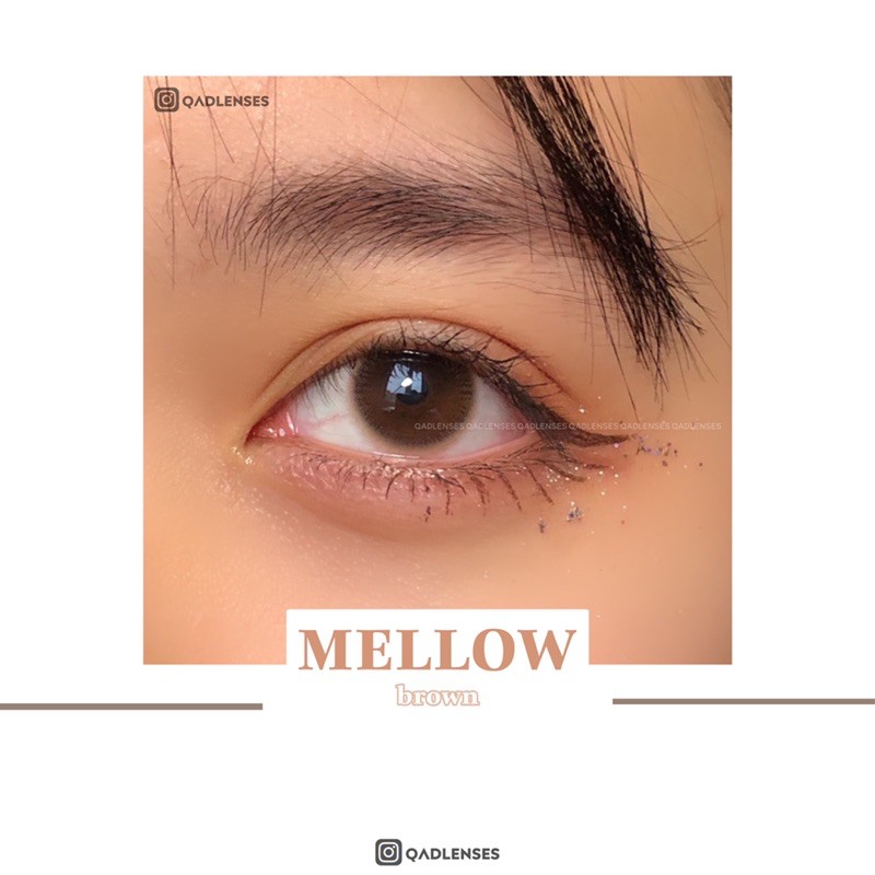 Mellow Brown Lens Khay nâu không lộ 1 xíu xiu - Kính áp tròng