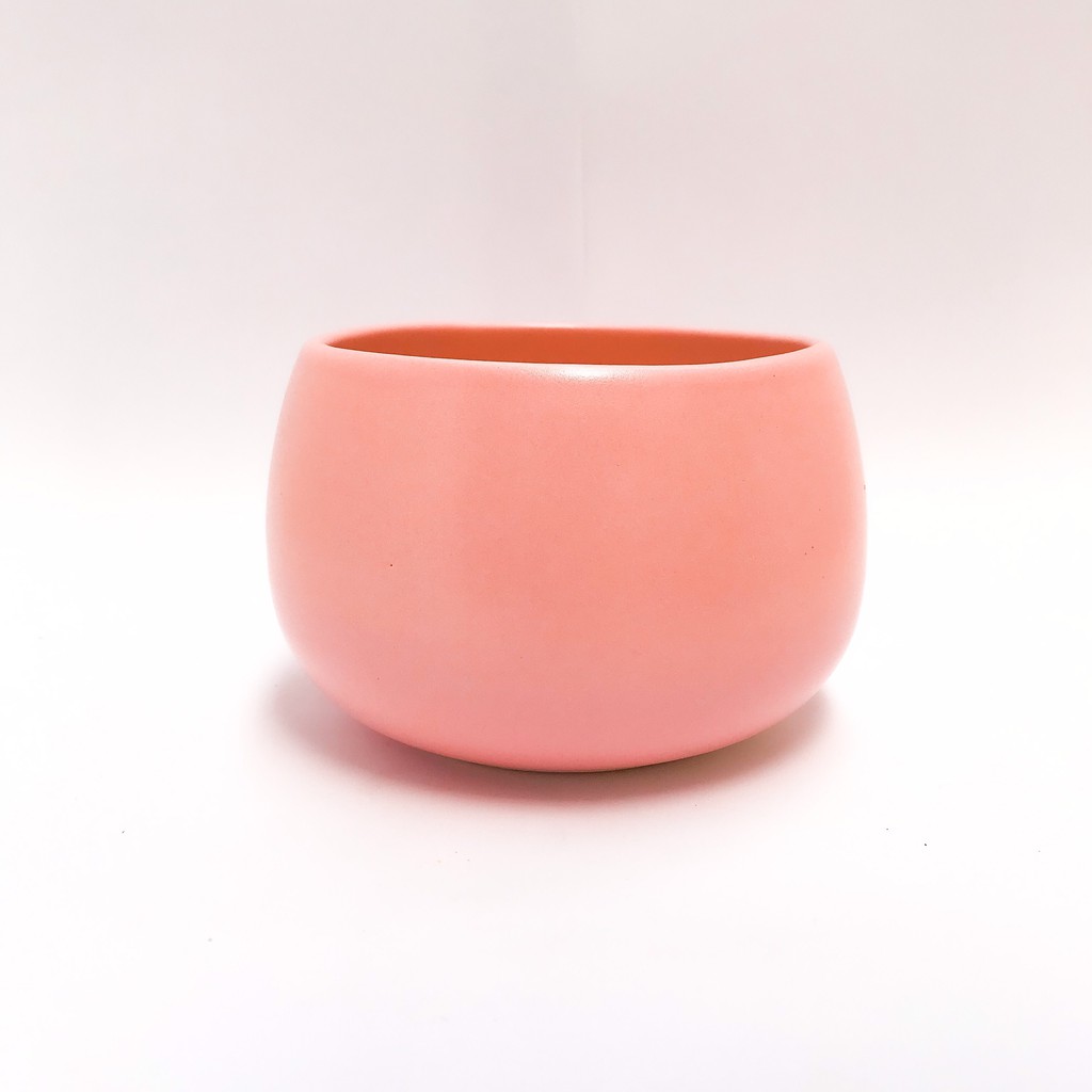 CHẬU HẠT DẺ TRỒNG SEN ĐÁ, CÂY PHONG THỦY, CÂY BONSAI MINI