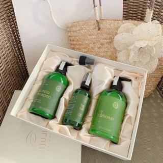 Combo dầu gội Vi Jully