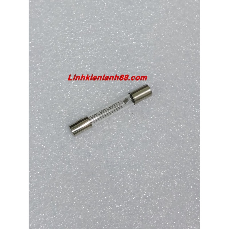 (10 chiếc) Cầu Chì Thủy Tinh Lò Vi Sóng 5Kv 0.9A Chân Gài.