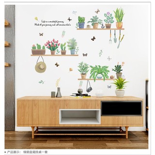 Decal dán tường cho bé nhiều loài chậu cây cảnh xinh xắn