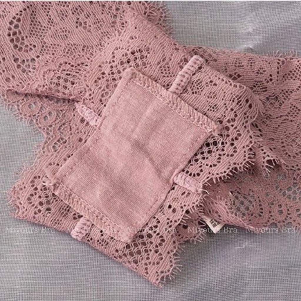 Quần lót, quần chíp nữ MiYours Fashion &amp; More QL186 ren cao cấp lọt khe chữ Y chống viêm, kháng khuẩn sexy