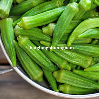 HẠT GIỐNG ĐẬU BẮP XANH CAO SẢN SIÊU LÙN