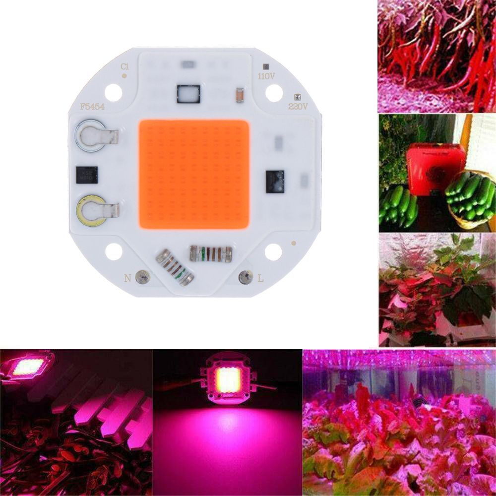 Đèn Led Kích Thích Tăng Trưởng Thực Vật 220v Cob 50w 70w 100w