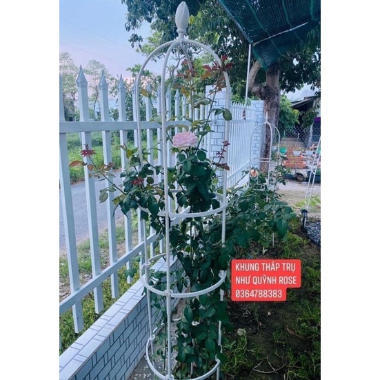 Khung đỡ, giá đỡ hoa hồng leo, cây hoa leo, trang trí màu trắng , xanh cao 1,8m, ĐK 40cm