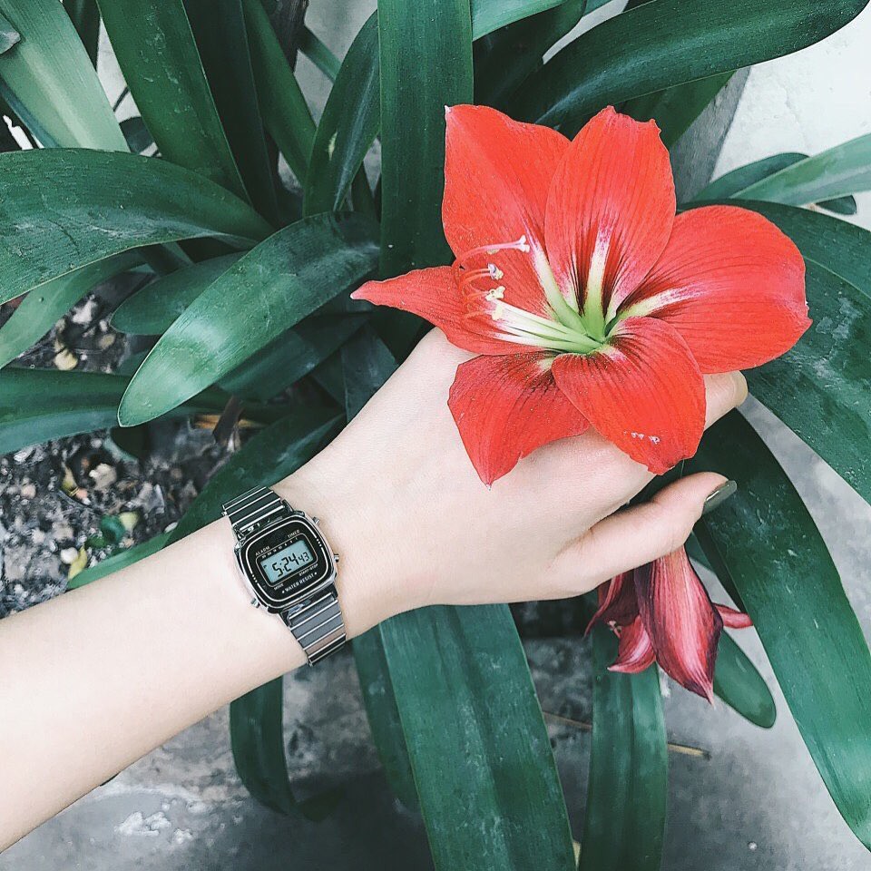 Đồng hồ điện tử Nữ LA670 thời trang mini siêu đẹp sành điệu cho bạn trẻ hiện đại. Mini_watches | BigBuy360 - bigbuy360.vn