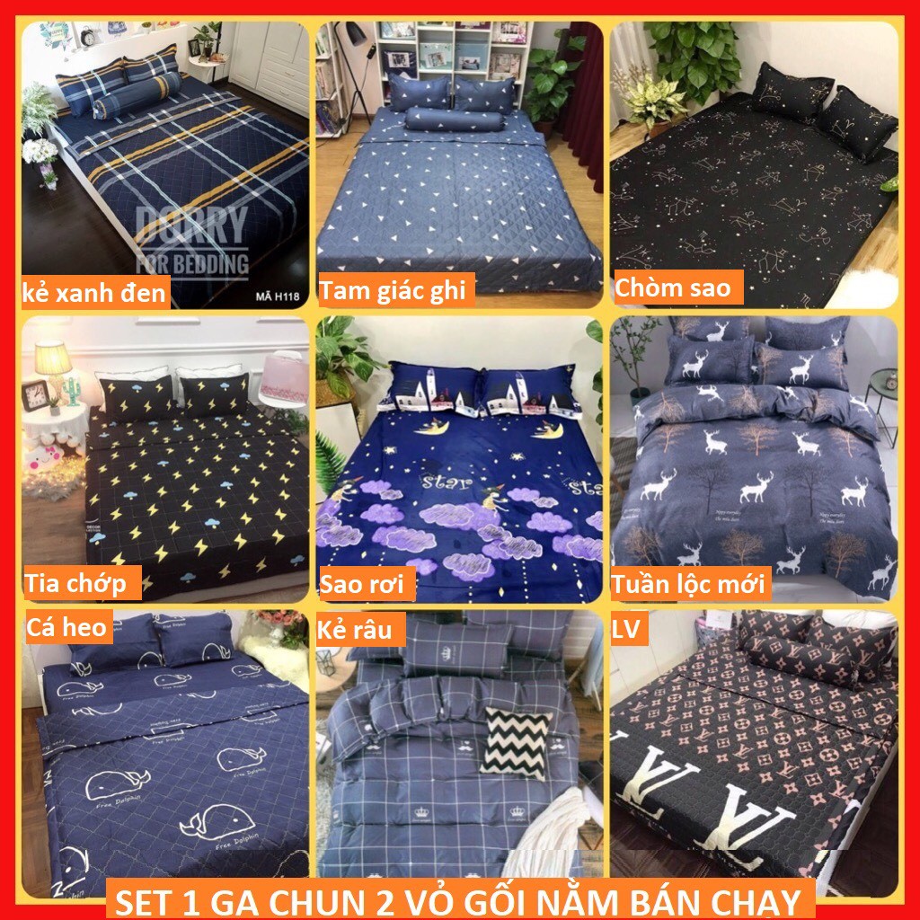 Ga trải giường poly cotton M4 M6 | BigBuy360 - bigbuy360.vn