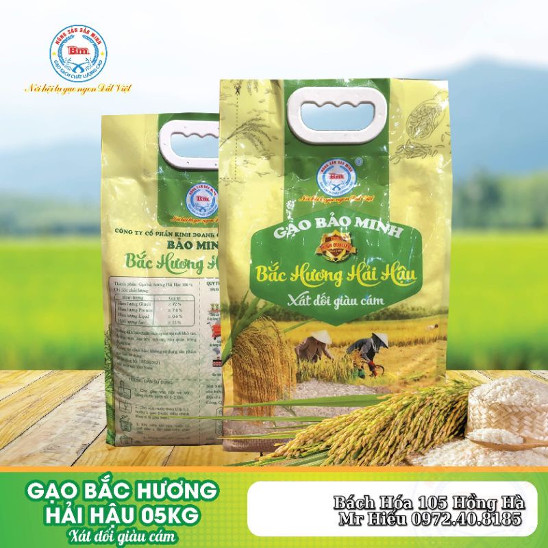 [HỎA TỐC] Gạo Bắc Hương Hải Hậu 5kg - Gạo Bảo Minh