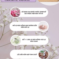Set 3 Lọ Daylisse Dermaclean ChoCho AC Ampoule Hàn Quốc