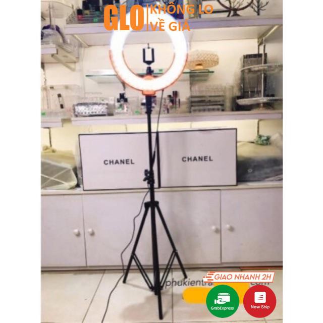 Cây Đèn Hỗ Trợ Live Stream - Đèn Led 26cm Make Up Cao 2m