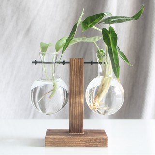 Bình Thủy Tinh Trồng Cây Để Bàn Kệ Gỗ Trang Trí Văn Phòng Bàn Làm Việc