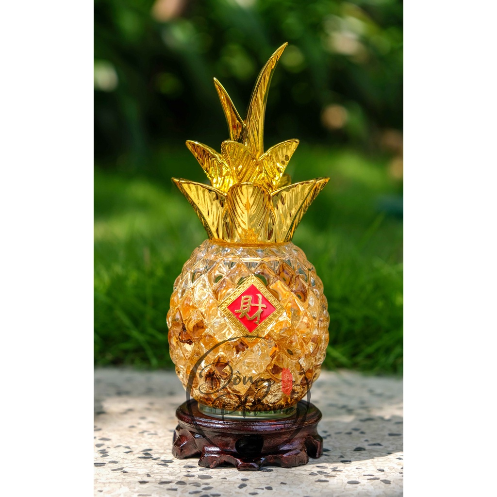 Chậu Vàng Lá Tài Lộc - Trái Thơm Vàng Nước - Chậu Tỳ Hưu - Chậu Cóc Thiềm Thừ Tài Lộc May Mắn - Chiêu Tài Tấn Lộc