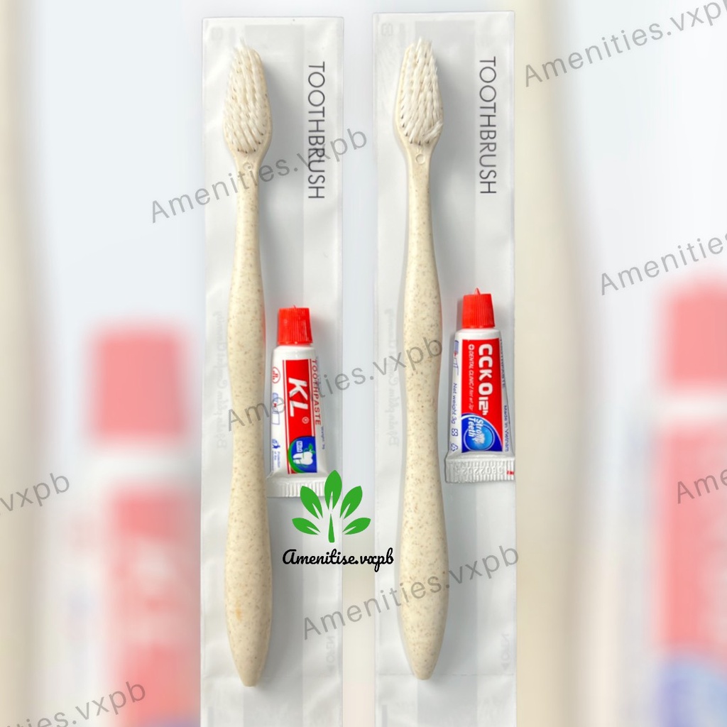 [100] Bàn chải lúa mạch mẫu 02 kèm kem đánh răng (túi trắng sữa) cho khách sạn, resort, homestay, nhận in logo