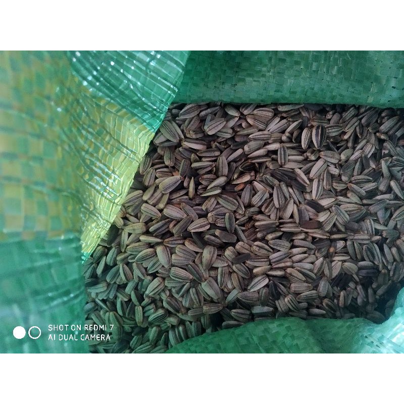 Hướng dương hạt nhỏ 500g