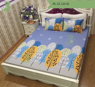 Bộ ga chun m6*2m và 2 vỏ gối đầu 45*65cm cotton poly SALE