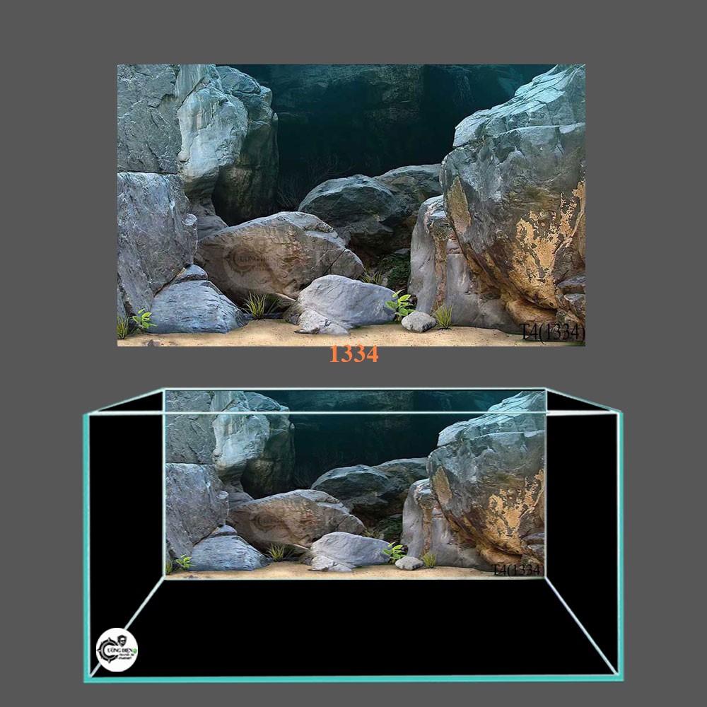 Decal dán hồ cá 3D nhiều kích thước