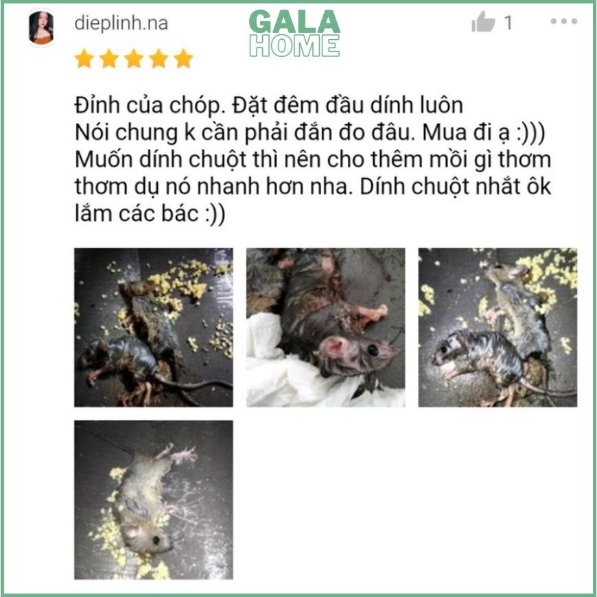 Keo dính chuột Siêu Dính Miếng keo dán chuột GALA HOME
