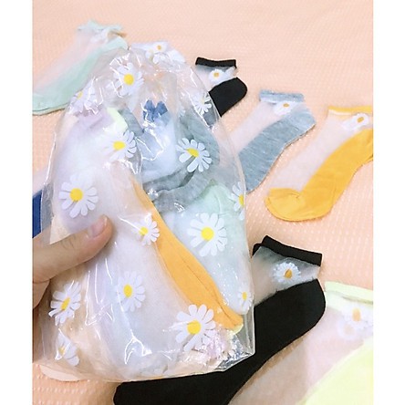 Túi 10 Đôi Tất Lưới  Hoa Cúc Xinh Xinh - MÃ: TS TV 16