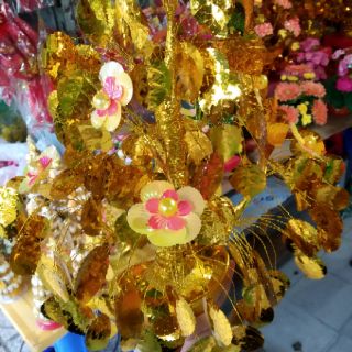 Cây cành vàng lá ngọc