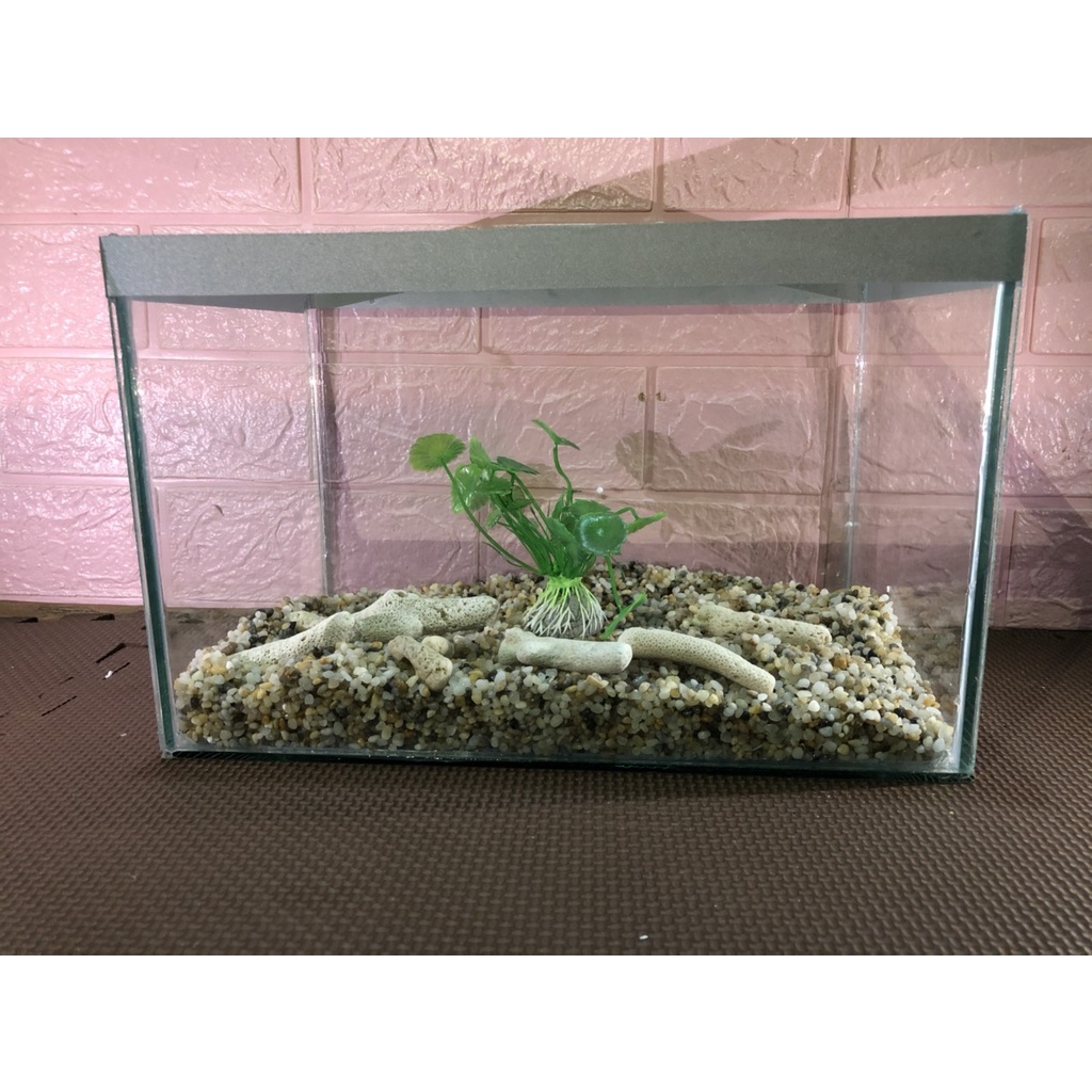 Hồ cá, bể cảnh thủy sinh để bàn (D38XR20XH20), Bể cá,hồ cá thủy sinh TẶNG kèm đá và cây