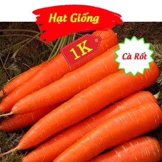 Deal 1k - 100 hạt giống cà rốt - tập trồng rau tại nhà