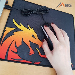 Chuột chơi game E-DRA EM602
