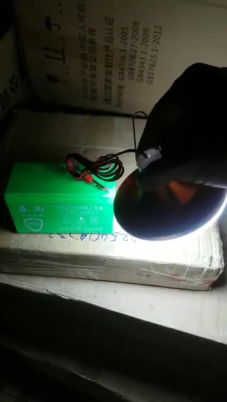 Bóng đèn trụ 12v đủ watt | BigBuy360 - bigbuy360.vn