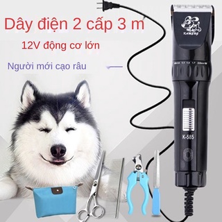 Tông đơ cắt lông thú cưng công suất lớn chuyên nghiệp, chó, điện, mèo Teddy,