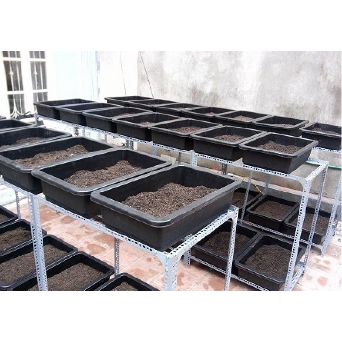 Combo 5 khay trồng rau cỡ lớn