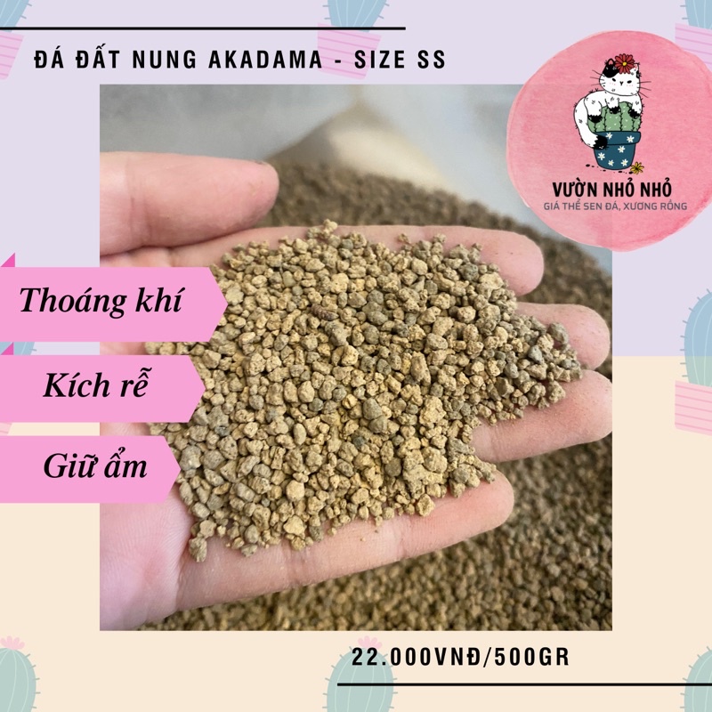 500gr Đá Akadama Nhật Bản loại cứng size SS dùng để rải mặt, trồng sen đá, xương rồng, lithops - Grand hoặc Hard Akadama