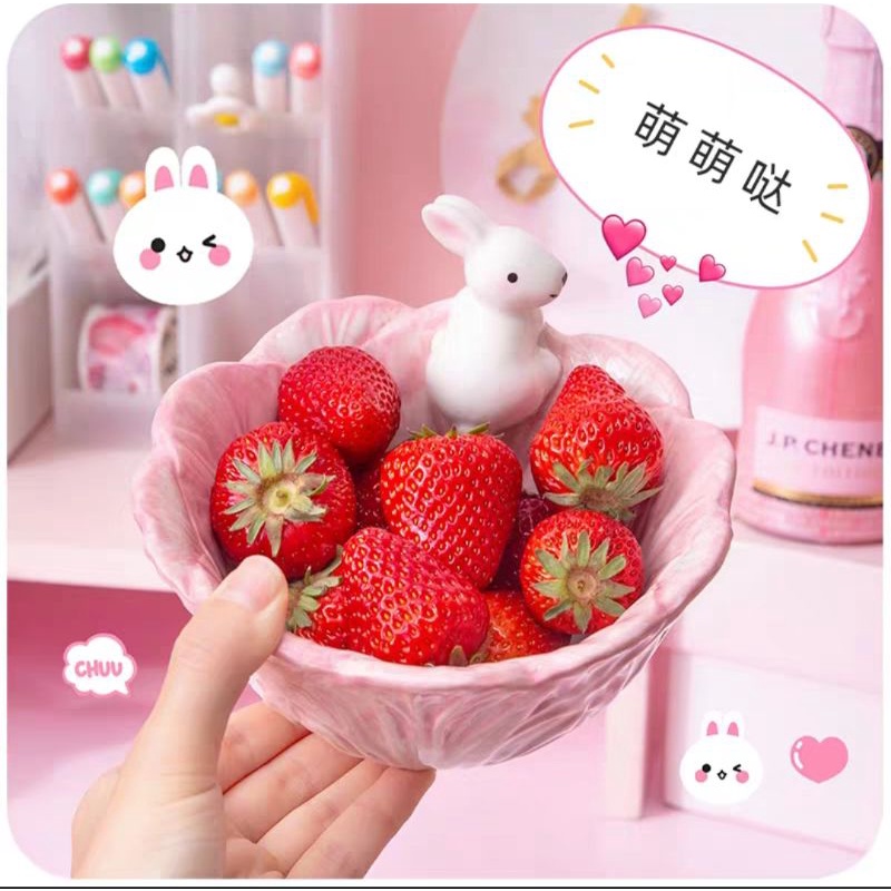 Bát bắp cải thỏ hồng dễ thương