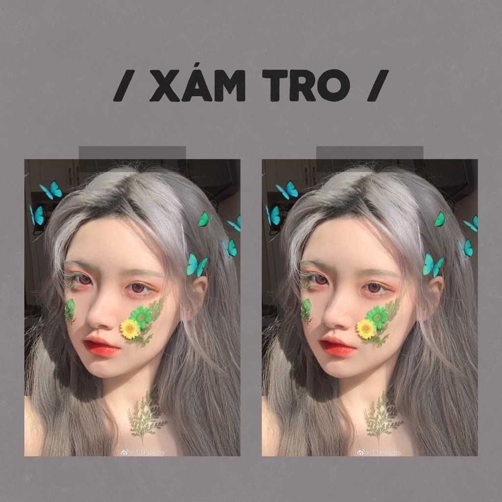 Thuốc nhuộm tóc Xám Khói Sáng - Xám Tro