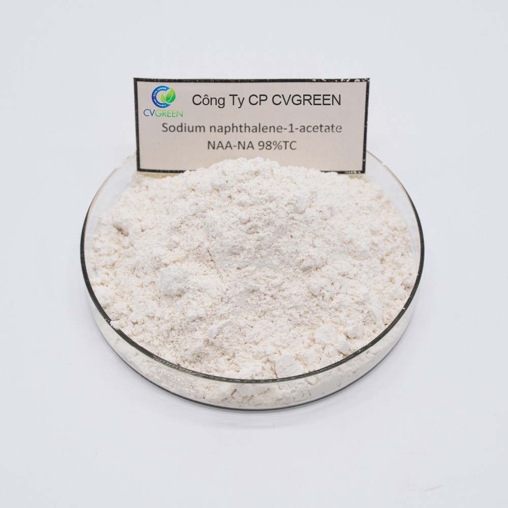 Auxin Alpha Na-NAA 98% tan trong nước - Chất kích thích ra rễ, củ, quả