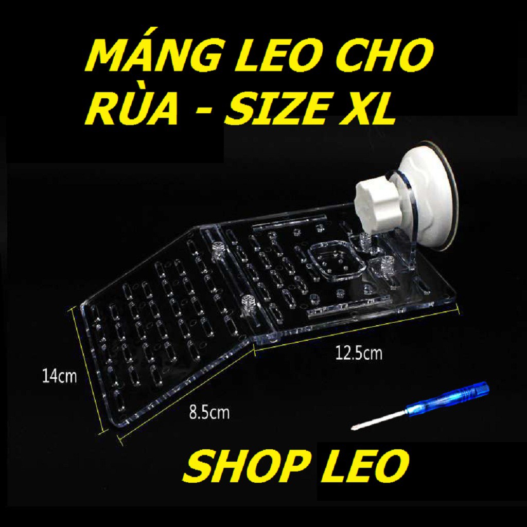 MÁNG LEO CHO RÙA NƯỚC MIKA SIZE TO