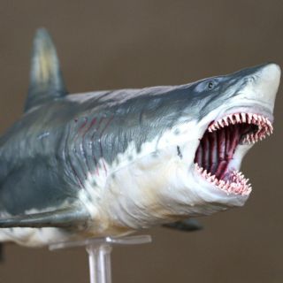 Mô hình cá mập Megalodon size lớn hãng PNSO