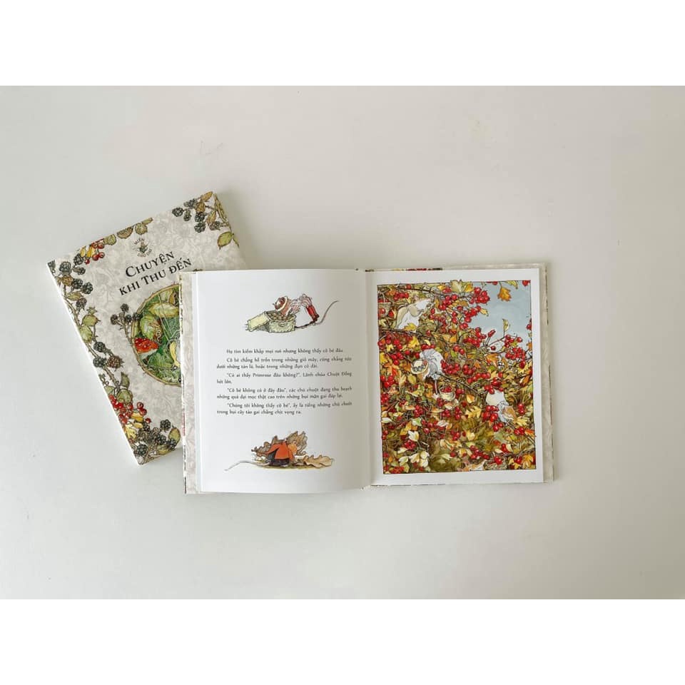 Sách - Boxset Miền Dâu Dại - Chuyện bốn mùa - Jill Barklem - Bình Book