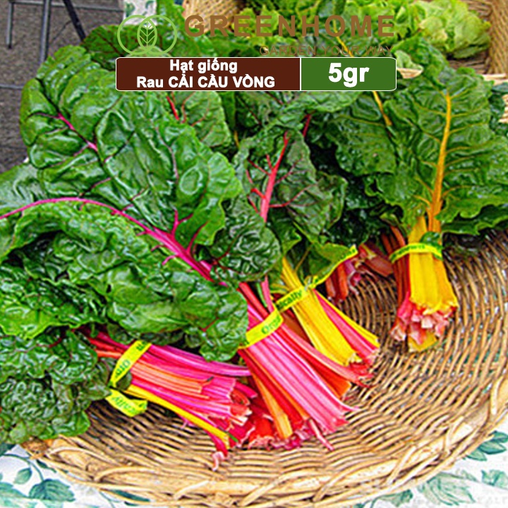 Hạt giống rau Cải cầu vồng Greenhome, gói 5gr, sinh trưởng mạnh, năng suất cao R06