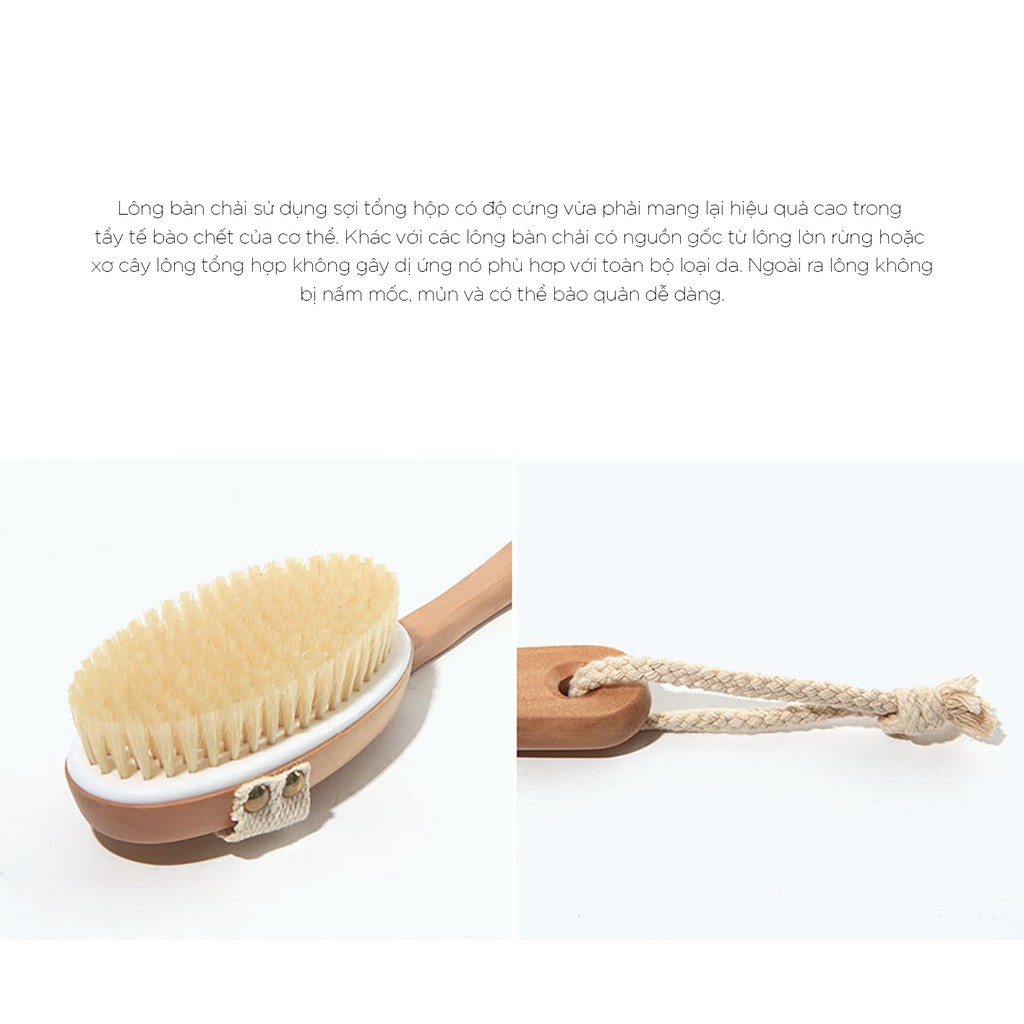 Bàn Chải Da Khô Matxa Cơ Thể, Tẩy Tế Bào Chết | BigBuy360 - bigbuy360.vn