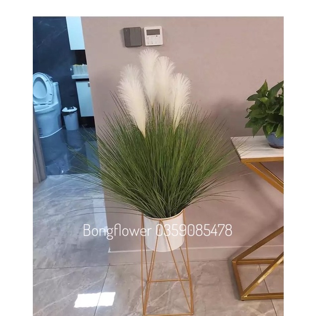 Cành lau giả - Cành lau 5 bông cao 100 cm decor siêu xinh
